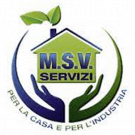 Msv Servizi