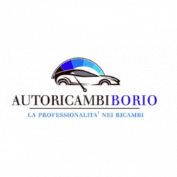 Autoricambi Borio logo