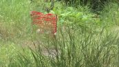 Roma, al parco erbaccia, spazzatura e transenne abbandonate
