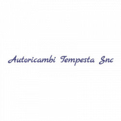 Autoricambi Tempesta logo