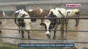 Fattoria di Arezzo chiude dopo 50 anni un punto vendita