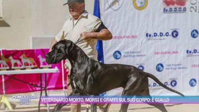Veterinario morto, morsi e graffi sul suo corpo: è giallo