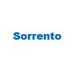 Ristorante Pizzeria Sorrento logo