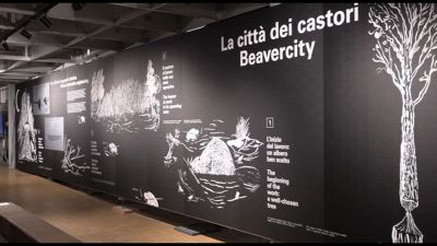 24esima Triennale, Tempo Pievani e un viaggio nella biodiversità