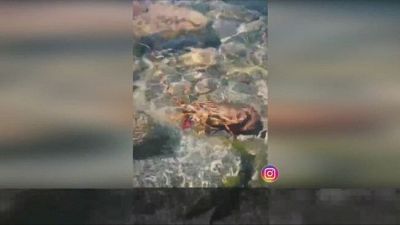 Salmo compra un'aragosta e la libera nel mare