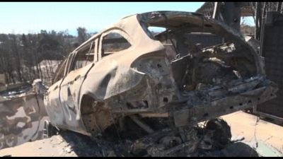 A Los Angeles ripuliscono le strade da alberi carbonizzati e detriti