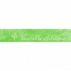 Vacchelli Adriano logo