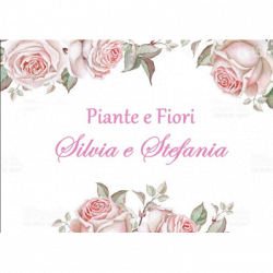 Piante e Fiori Stefania e Silvia logo