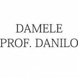 Damele Prof. Danilo - Studio Musicale logo