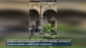 Muore il cane e aggrediscono i veterinari all'università