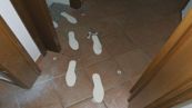 "L'impronta di una scarpa femminile", nuova pista su Garlasco