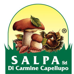 Salpa logo