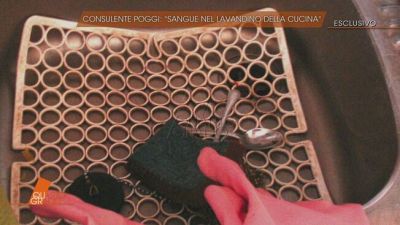 Garlasco, consulente Poggi: "Sangue nel lavandino della cucina"