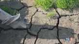 Caldo e siccità ci costano caro