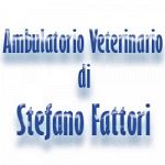 Ambulatorio Veterinario di Stefano Fattori