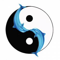 Battistini Dott.ssa Paola logo