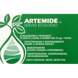 Artemide - Spurgo Fogne e Videoispezione Napoli logo