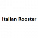 Italian Rooster