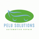 Pelu Solutions