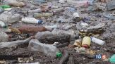 La plastica minaccia la vita e l'ambiente