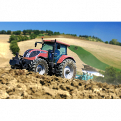 Raimondi Delio S.r.l logo