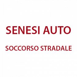 Senesi Auto - Soccorso Stradale logo