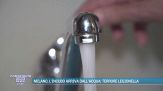 Milano, l'incubo arriva dall'acqua: terrore legionella