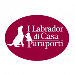Allevamento I Labrador Di Casa Paraporti logo