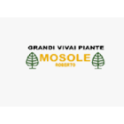 Grandi Vivai Roberto Mosole - L'Arte del Sasso logo