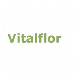 Vitalfor s.n.c. logo