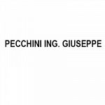 Pecchini Ing. Giuseppe