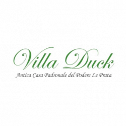 Villa Duck logo
