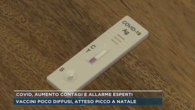 Covid, aumento contagi e allarme esperti