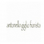 Fiorista Antonello Giglio
