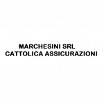 Marchesini Srl - Cattolica Assicurazioni