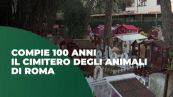 Compie 100 anni il cimitero degli animali di Roma