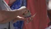Lotta all'inflazione, Meloni scrive all'Europa, "serve più flessibilità"