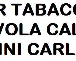 Bar Tabacchi Tavola Calda Mini Carla logo