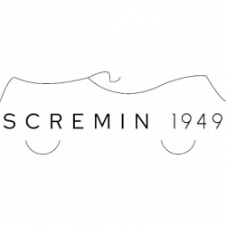 Autonoleggio con Autista Scremin Giovanni su Prenotazione logo