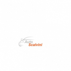 Auto scalvini logo