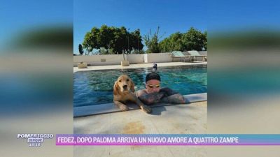 Fedez, dopo Paloma arriva un nuovo amore a quattro zampe