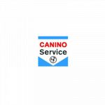 Specialty Motors By Canino