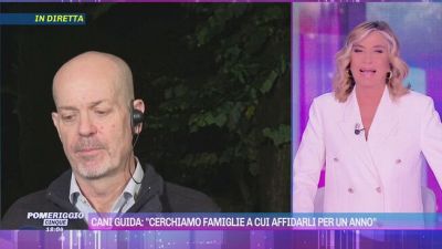 Cani guida: "Cerchiamo famiglie a cui affidarli per un anno"