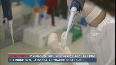 Omicidio Pierina Paganelli, reperti chiave e attesa test dna