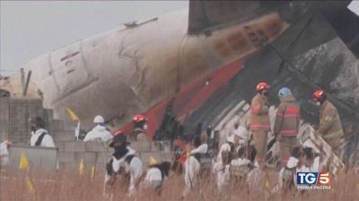 Aereo si schianta in Sud Corea: è strage