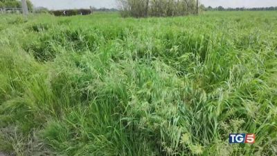 Fa jogging, violentata Fermato un minorenne