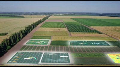 La tecnologia al servizio della biodiversità, con sensori e AI