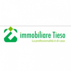 Immobiliare Tieso logo