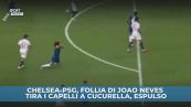 Follia Joao Neves