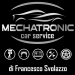 Mechatronic Car Service